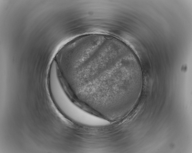 X0000090931379200708131445