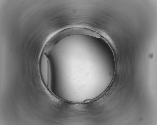 X0000090931380200708131445