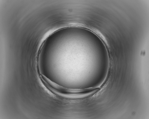 X0000090931381200708131445