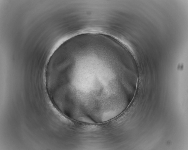 X0000090931382200708131445