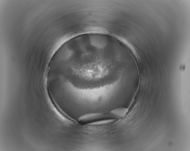 X0000090931383200708131445