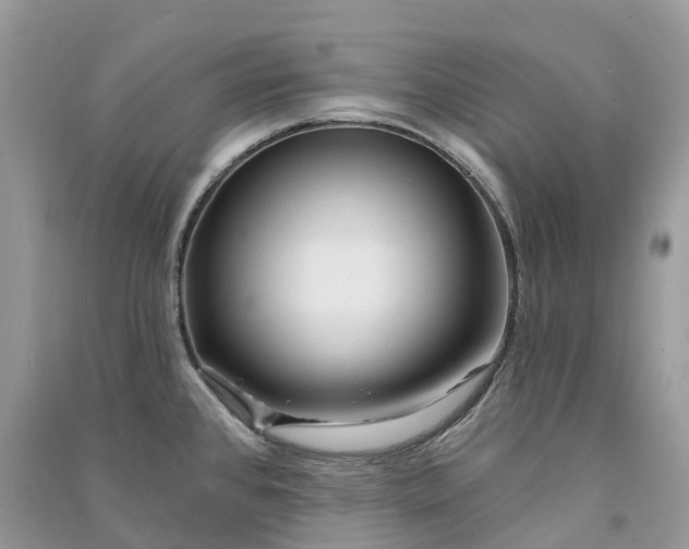 X0000090931384200708131445