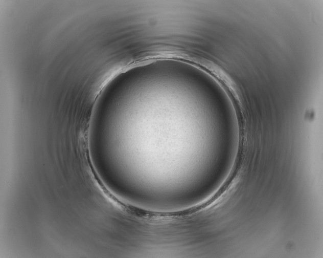 X0000090931385200708131445