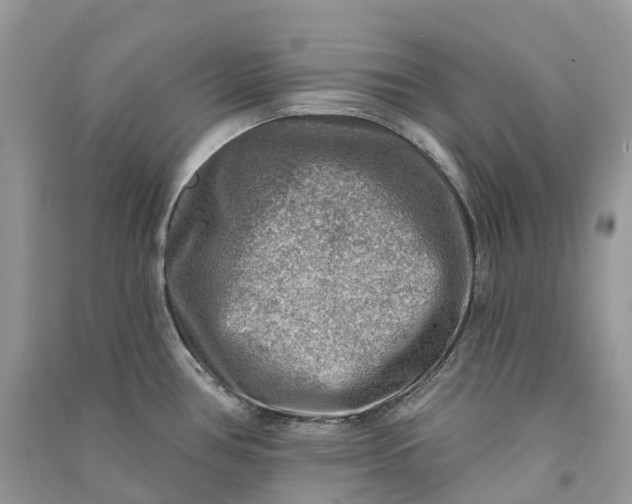 X0000090931386200708131445