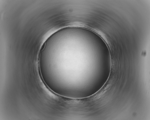 X0000090931387200708131445