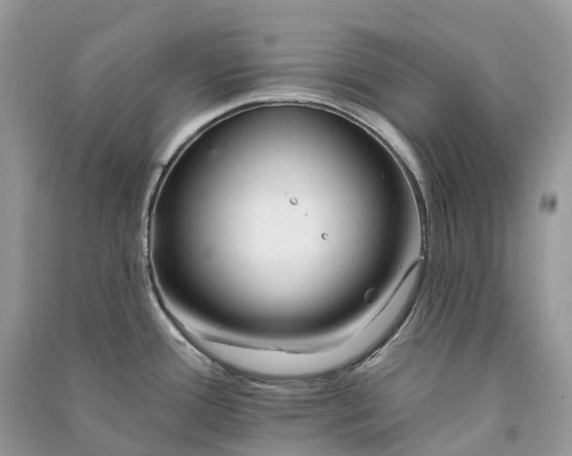 X0000090931388200708131445