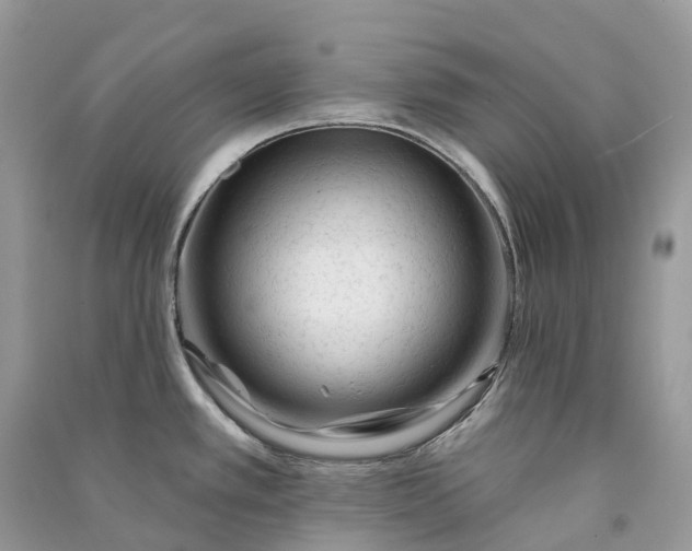 X0000090931389200708131445