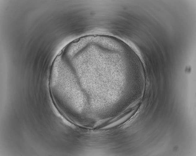 X0000090931390200708131445