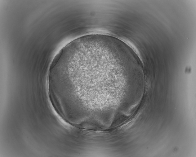 X0000090931391200708131445