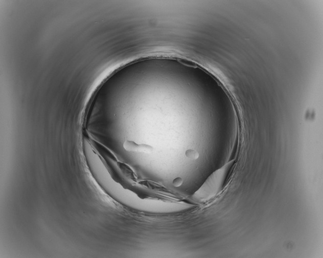 X0000090931392200708131445