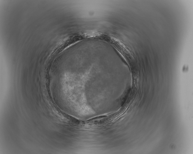 X0000090931393200708131444