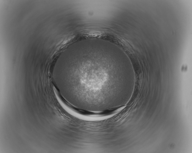 X0000090931394200708131444