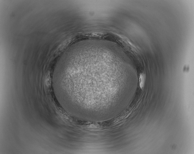 X0000090931395200708131444