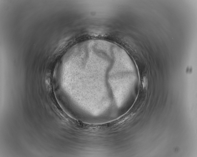 X0000090931396200708131444