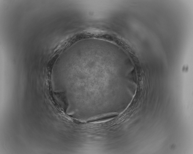 X0000090931397200708131444