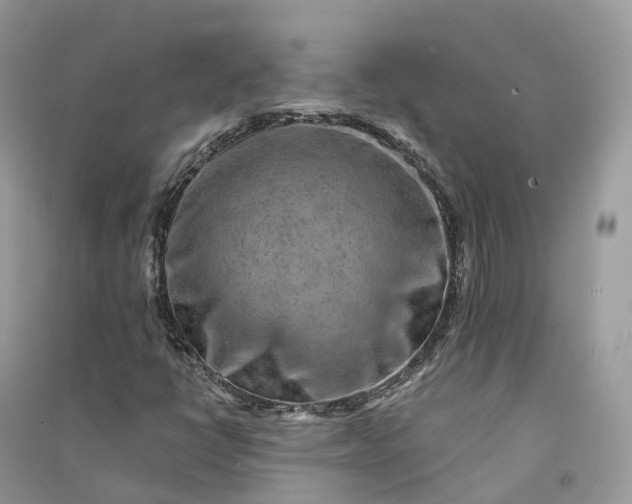 X0000090931398200708131444