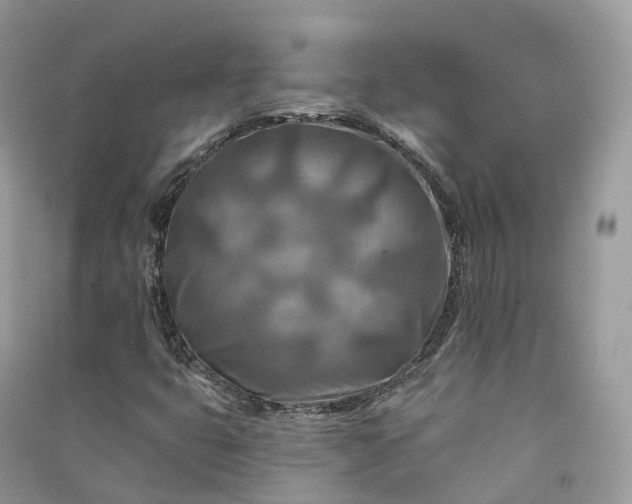 X0000090931399200708131444