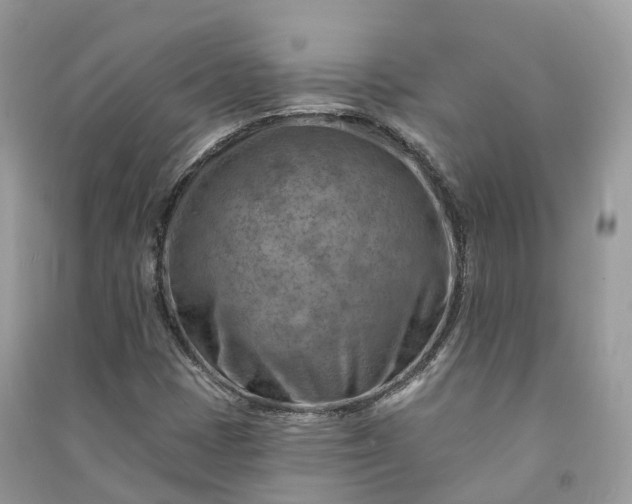 X0000090931401200708131444