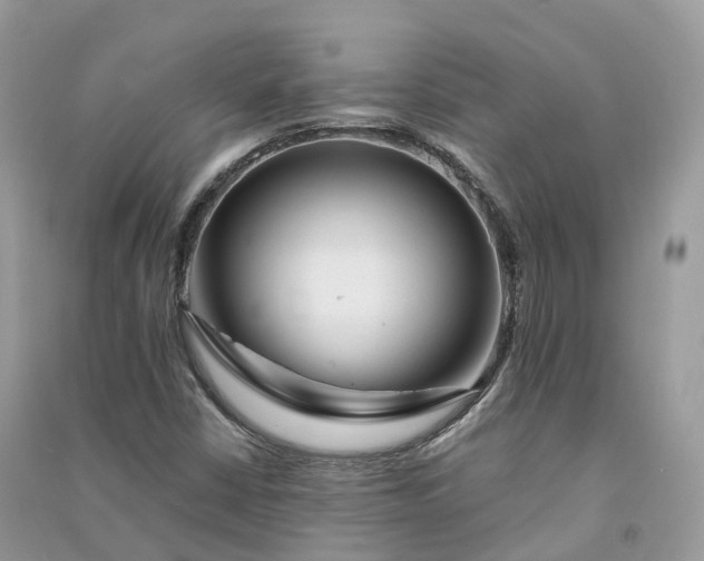 X0000090931402200708131444