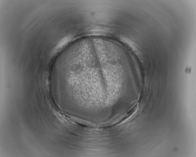 X0000090931403200708131444