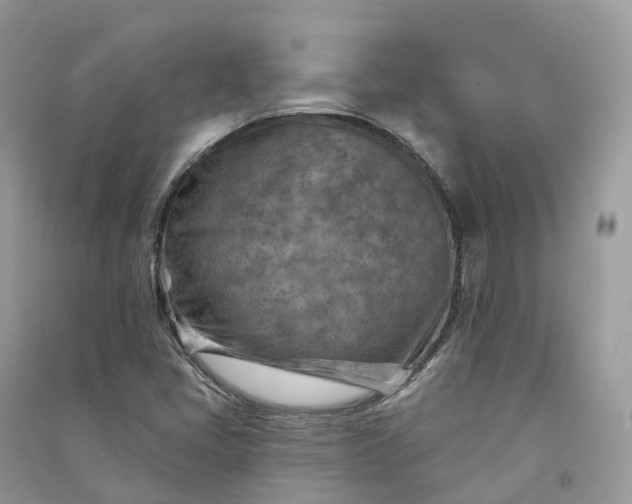 X0000090931405200708131444