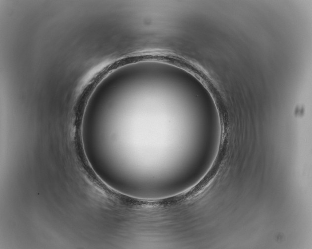 X0000090931406200708131444