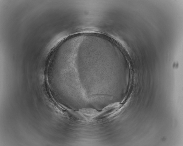 X0000090931407200708131444