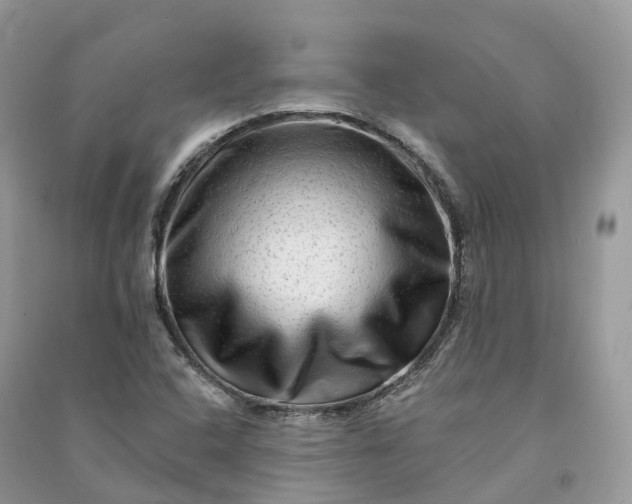 X0000090931408200708131444