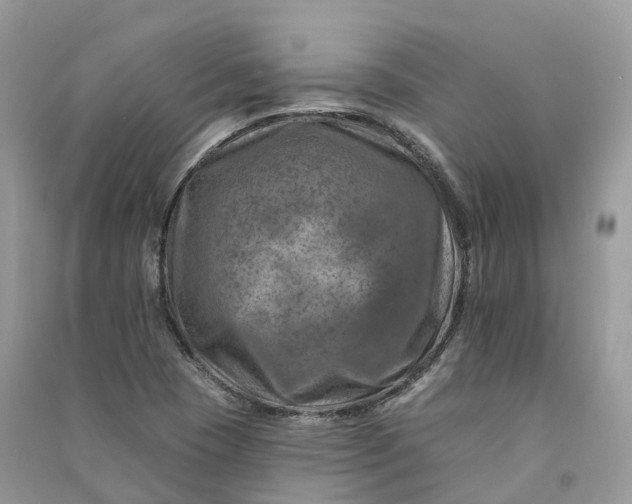 X0000090931409200708131444