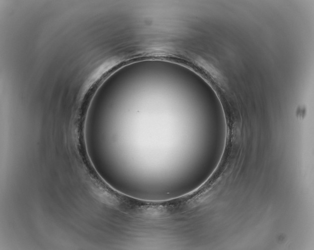 X0000090931410200708131444