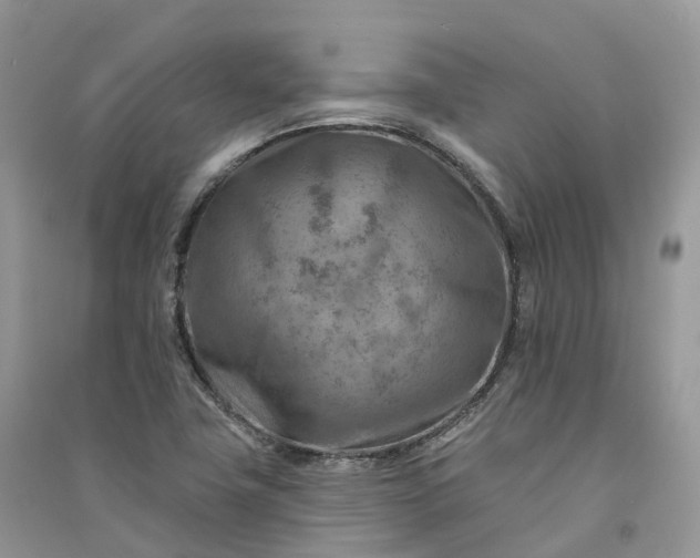 X0000090931411200708131444