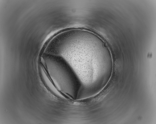 X0000090931412200708131444