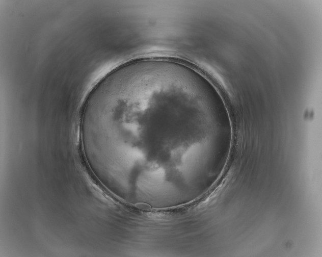 X0000090931413200708131444