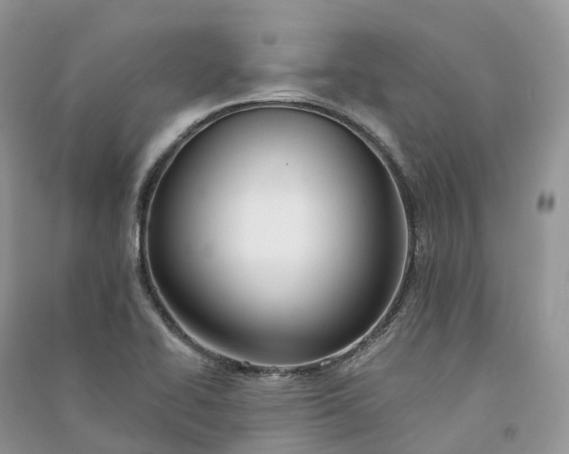 X0000090931414200708131444