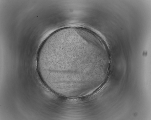 X0000090931415200708131444