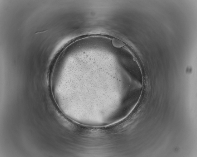 X0000090931416200708131444