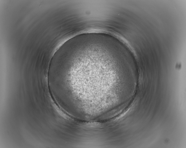 X0000090931417200708131444