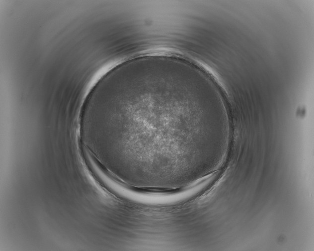 X0000090931418200708131444