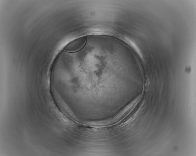 X0000090931419200708131444