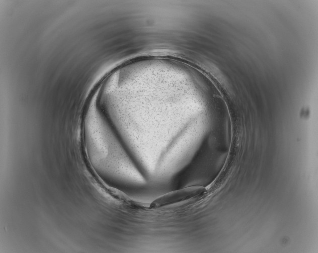 X0000090931420200708131444