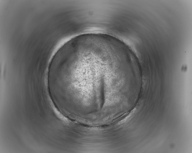 X0000090931421200708131444