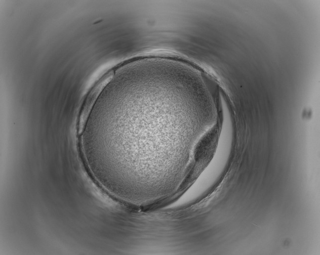 X0000090931422200708131444