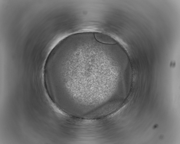 X0000090931423200708131444