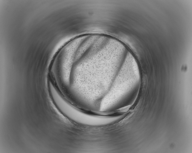 X0000090931424200708131444