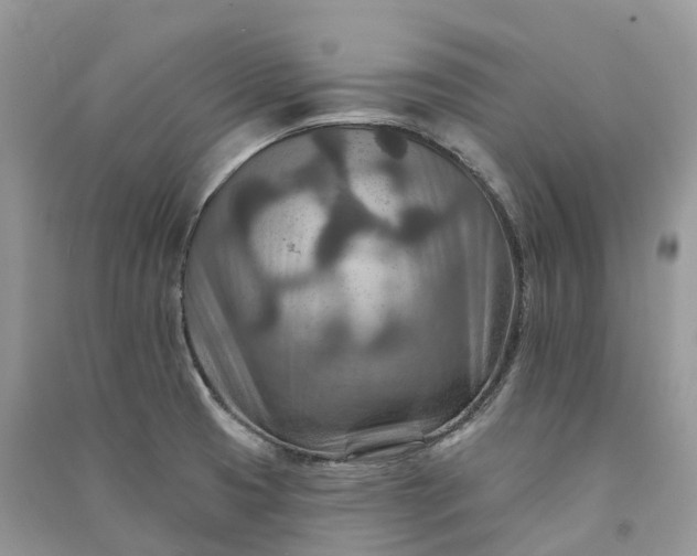 X0000090931425200708131444