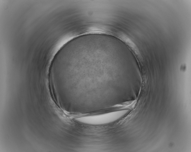 X0000090931427200708131444