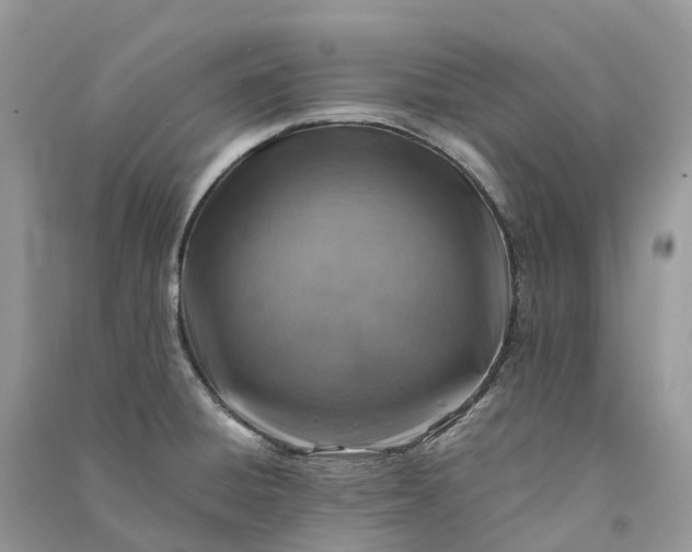 X0000090931428200708131444