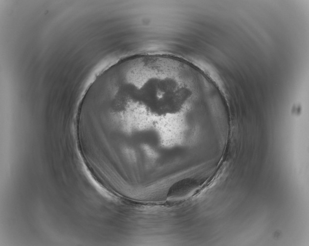 X0000090931429200708131444