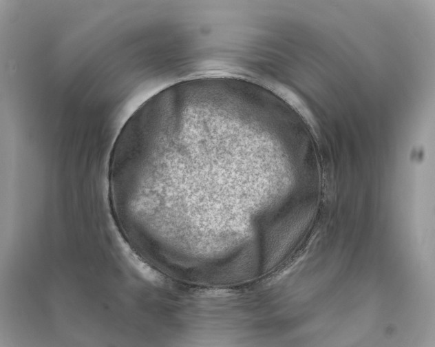 X0000090931431200708131444