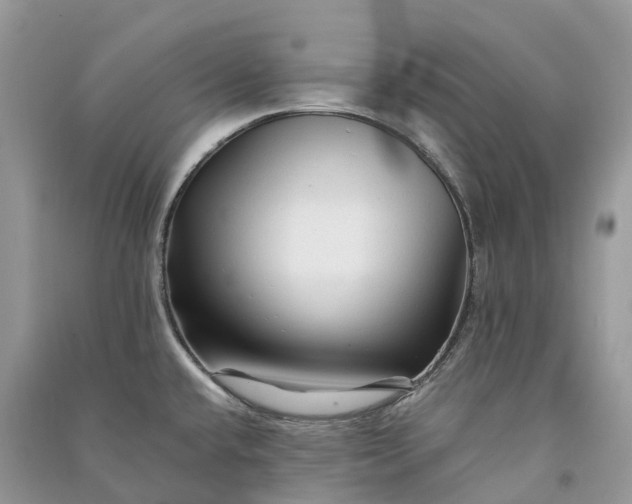 X0000090931432200708131444